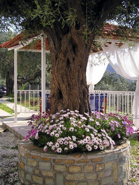 Golden Beach Inn Chrysi Ammoudia ห้อง รูปภาพ